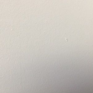 Meet your Posher, Cocory